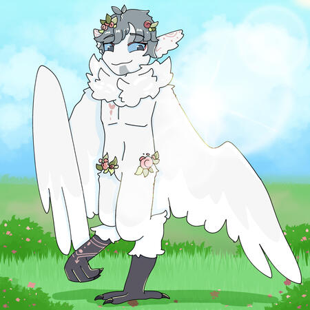 Kirole ☆ Worth £19